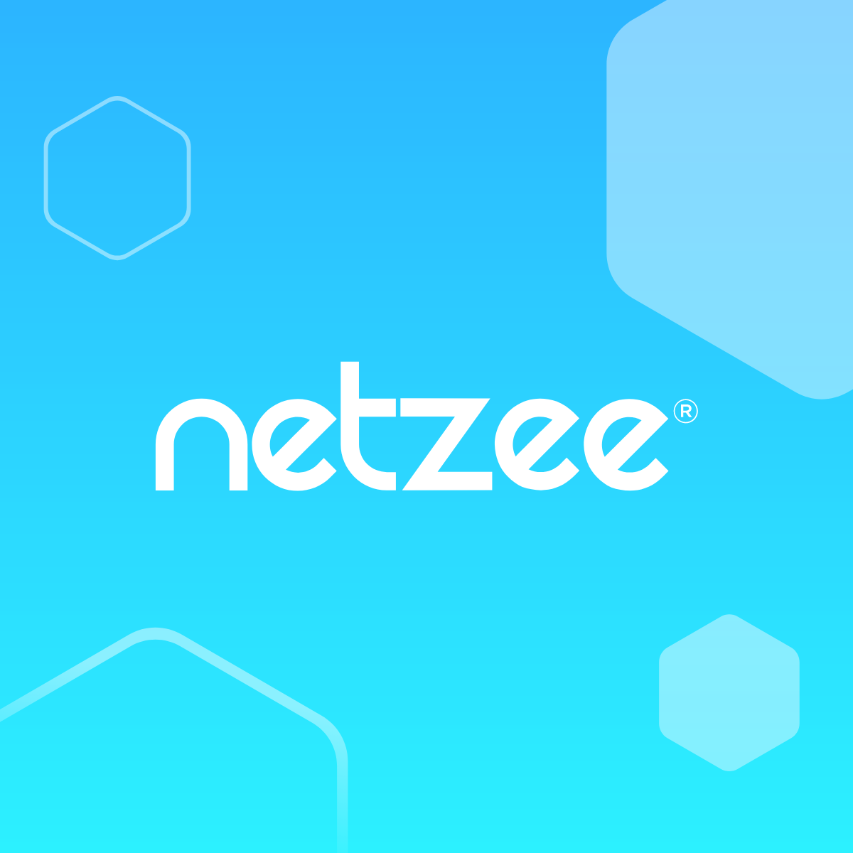 (c) Netzee.com.br